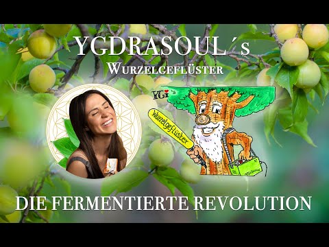 YGDRASOUL´s Wurzelgeflüster - Fermentierte Revolution - mit Lena - #DETOX? Keep it simple & natural!